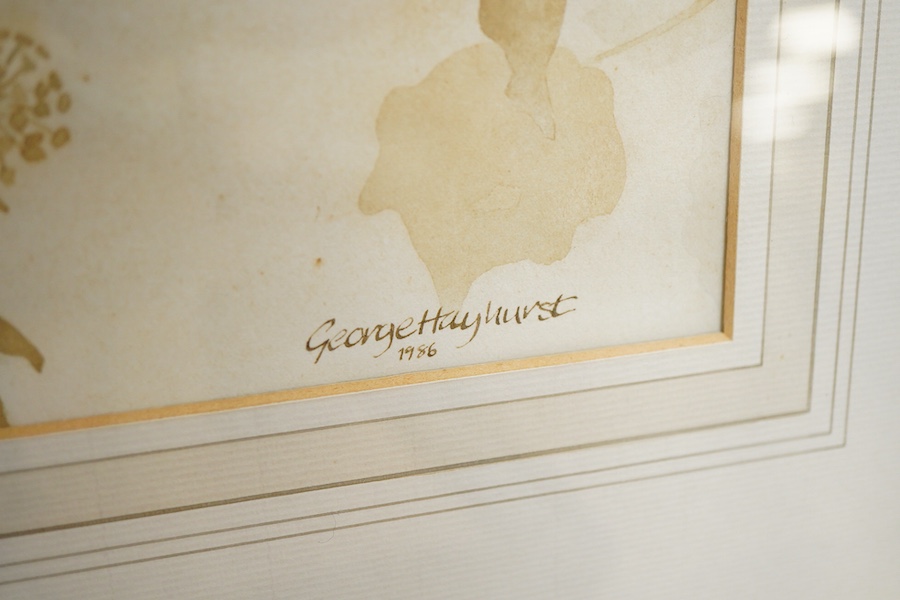 George Hayhurst (b.1954), Study of a barn owl with prey and Two badgers, each signed, one dated 1986, one with Chichester House Gallery label verso, two watercolours, largest 20 x 37cm